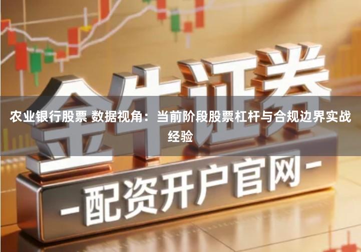 农业银行股票 数据视角：当前阶段股票杠杆与合规边界实战经验