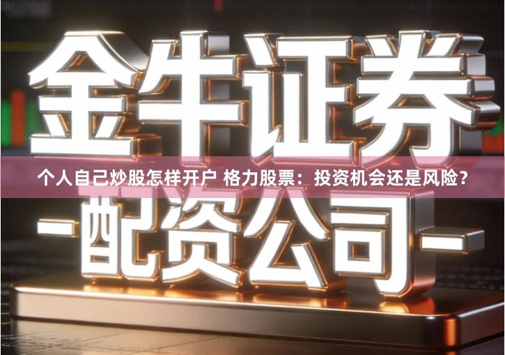 个人自己炒股怎样开户 格力股票：投资机会还是风险？